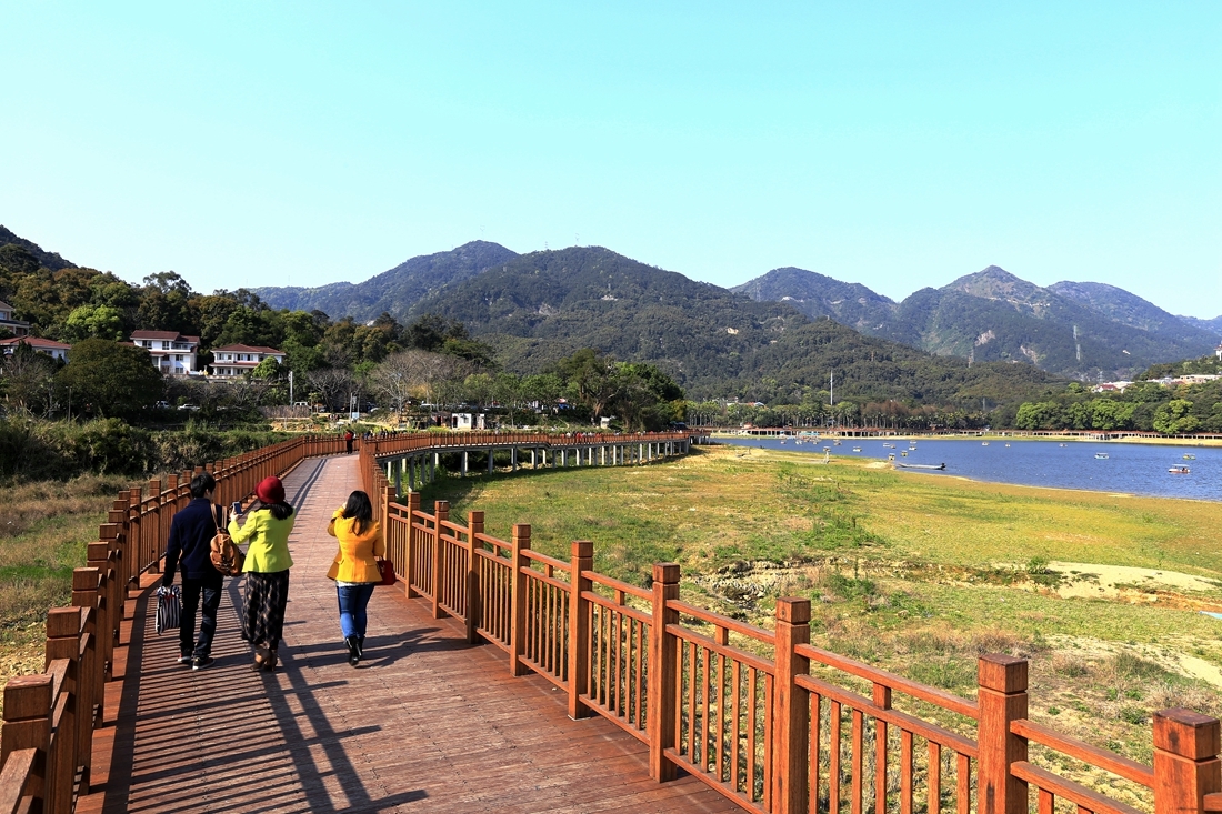 湿地木栈道